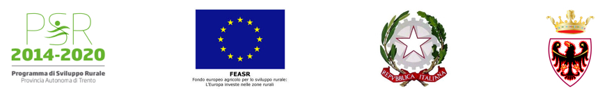 Fondo Europeo